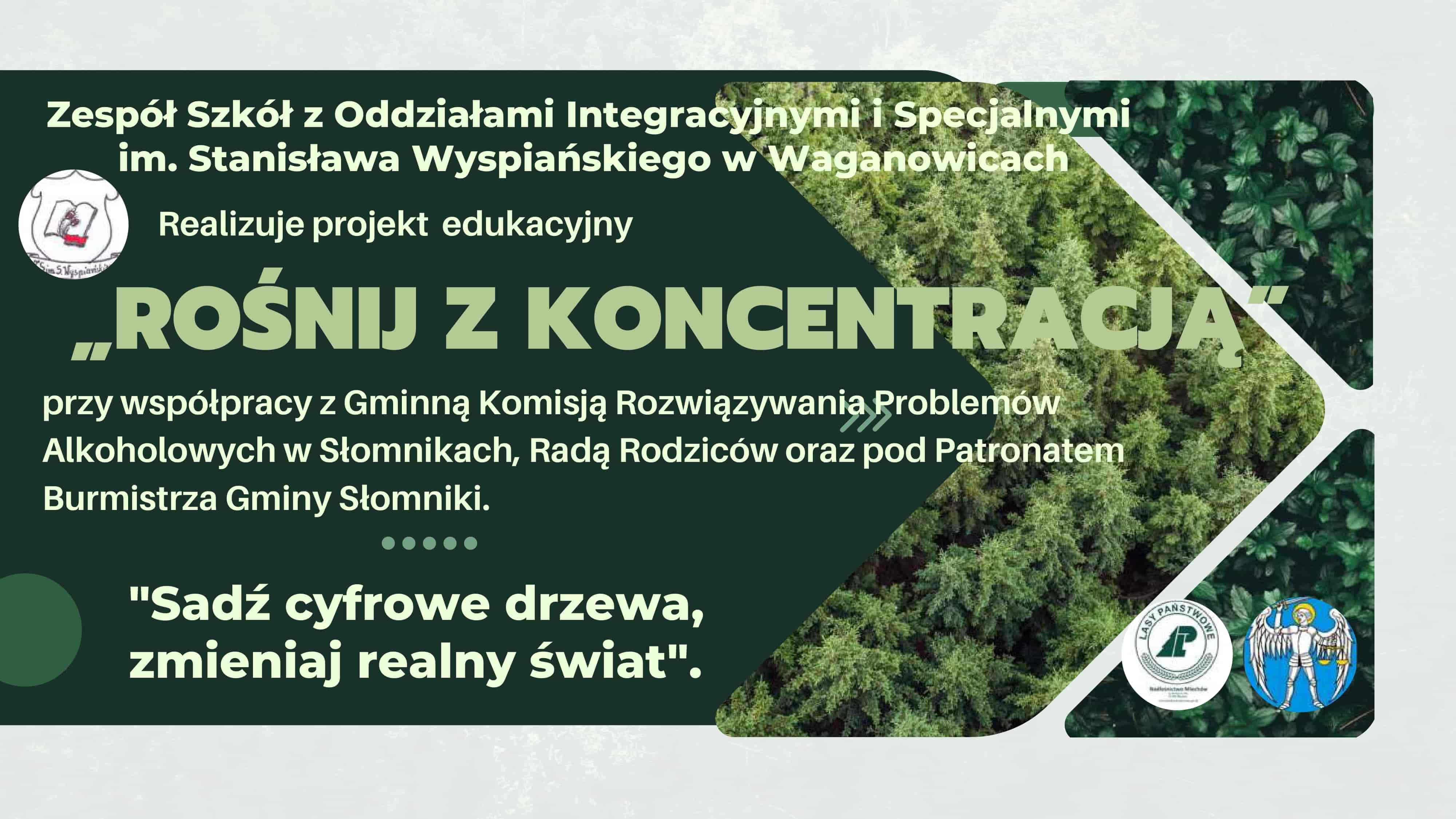 Widok prezentacji 