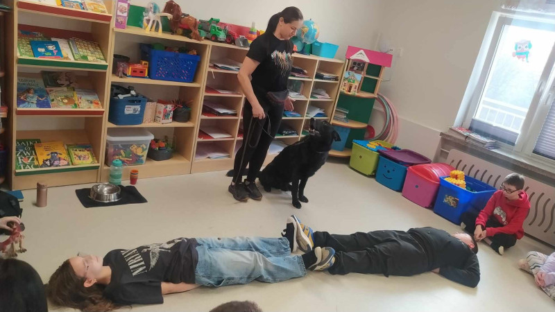 Imbir, 7-letni owczarek niemiecki, podczas interakcji z dziećmi w klasie podczas zajęć z dogoterapii w Zespole Szkół w Waganowicach, zdjęcie 1 z 5