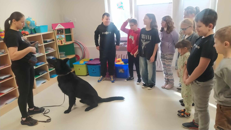 Imbir demonstruje sztuczki przed uczniami podczas zajęć z dogoterapii w Zespole Szkół w Waganowicach, zdjęcie 3 z 5