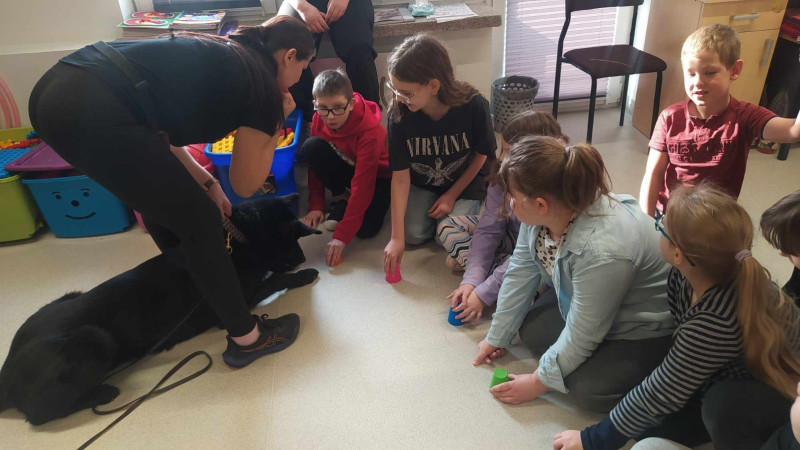 Dzieci głaszczą Imbira, 7-letniego owczarka niemieckiego, podczas zajęć z dogoterapii w Zespole Szkół w Waganowicach, zdjęcie 4 z 5