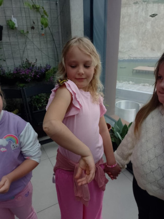 Motyle siadają na uczniów podczas wizyty w motylarni, zdjęcie 3 z 5