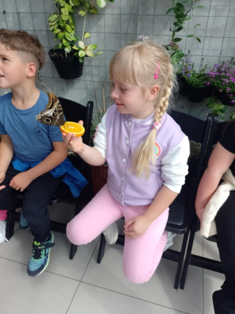 Dzieci karmią motyle sokiem z kawałków owocu, zdjęcie 5 z 5