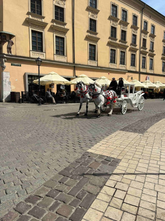 Dorożka przejeżdża ulicami Krakowa podczas spaceru uczniów po mieście, zdjęcie 4 z 5